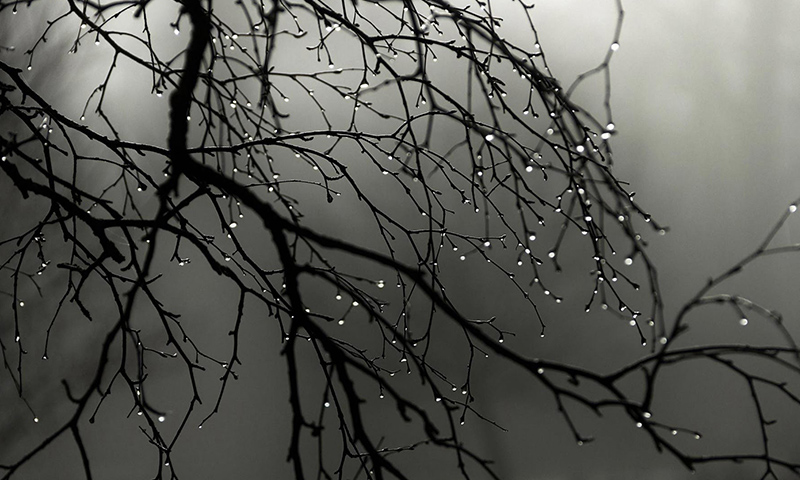 Zes supertips voor herfstfotografie